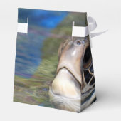 Meeresschildkröte Geschenkschachtel (Rückseite)
