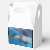 Meeresschildkröte Geschenkschachtel (Geöffnet)