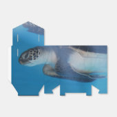 Meeresschildkröte Geschenkschachtel (Ungefaltet)