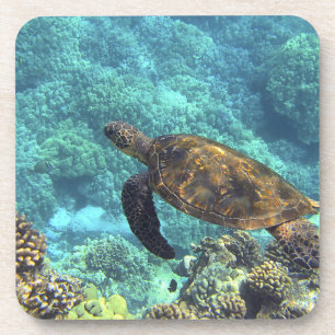 Meeresschildkröte Getränkeuntersetzer