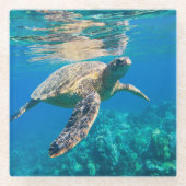 Meeresschildkröte Glasuntersetzer (Vorderseite)