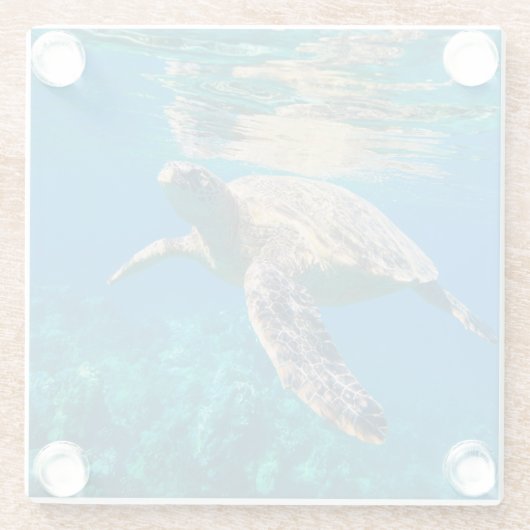 Meeresschildkröte Glasuntersetzer (Rückseite)