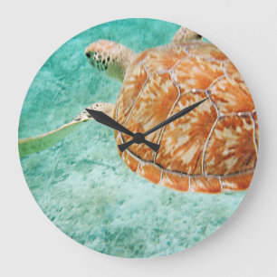 Meeresschildkröte Große Wanduhr