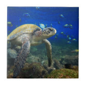 Meeresschildkröte im tropischen Pazifik Fliese (Vorderseite)