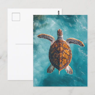 Meeresschildkröte im Türkischen Ozean Postkarte