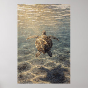 Meeresschildkröte in klarem blauem Wasser Poster