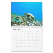 Meeresschildkröte Kalender (Mär 2027)