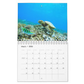 Meeresschildkröte Kalender (Mär 2026)