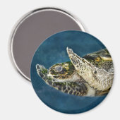 Meeresschildkröte Magnet (Vorderseite/Rückseite)