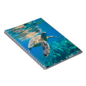 Meeresschildkröte Notizblock (Rechte Seite)