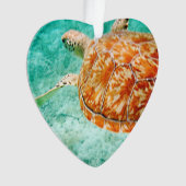 Meeresschildkröte Ornament (Vorderseite)