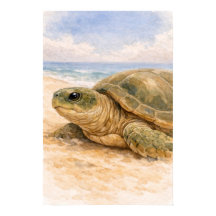 Meeresschildkröte Ozeanstrand