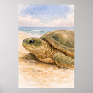 Meeresschildkröte Ozeanstrand Poster
