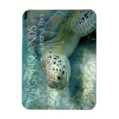 Meeresschildkröte, Pflanze des Meeres, Jungfrauen Magnet (Vertikal)