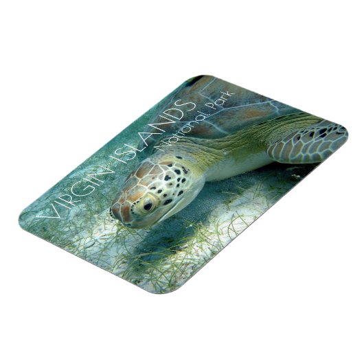 Meeresschildkröte, Pflanze des Meeres, Jungfrauen Magnet (Linke Seite)