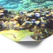 Meeresschildkröte Poster (Ecke)