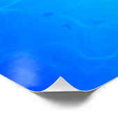 Meeresschildkröte Poster (Ecke)