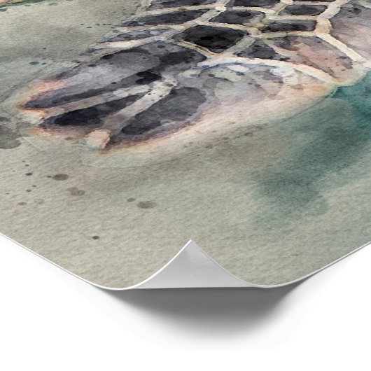 Meeresschildkröte Poster (Ecke)