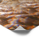 Meeresschildkröte Poster (Ecke)