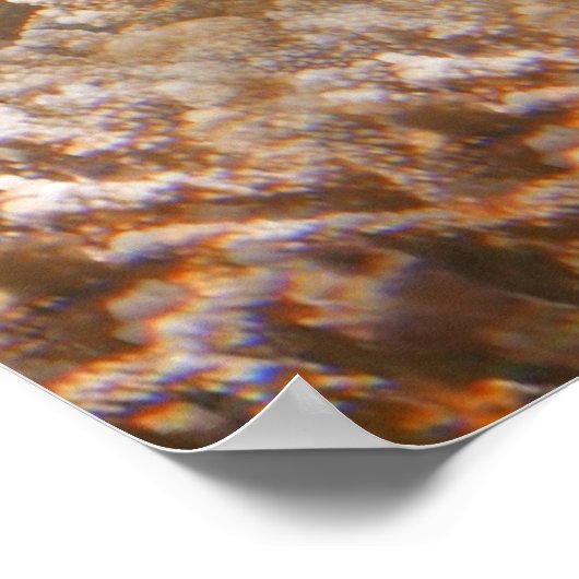 Meeresschildkröte Poster (Ecke)