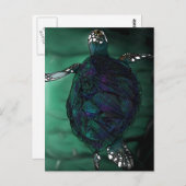 Meeresschildkröte Postkarte (Vorne/Hinten)