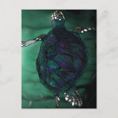 Meeresschildkröte Postkarte (Vorderseite)