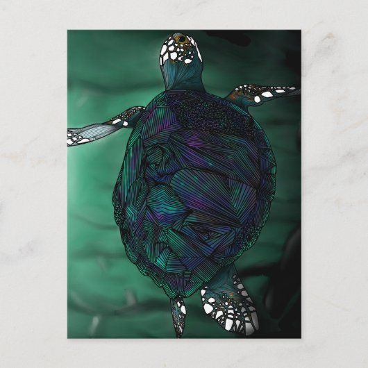 Meeresschildkröte Postkarte (Vorderseite)