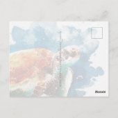 Meeresschildkröte Postkarte (Rückseite)