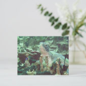 Meeresschildkröte Postkarte (Stehend Vorderseite)