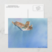 Meeresschildkröte Postkarte (Vorne/Hinten)