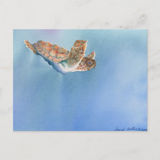 Meeresschildkröte Postkarte (Vorderseite)