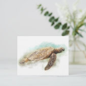 Meeresschildkröte Postkarte (Stehend Vorderseite)