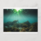 Meeresschildkröte Postkarte (Vorderseite)