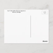 Meeresschildkröte Postkarte (Rückseite)