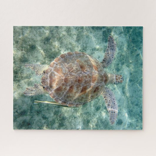 Meeresschildkröte Puzzle (Horizontal)