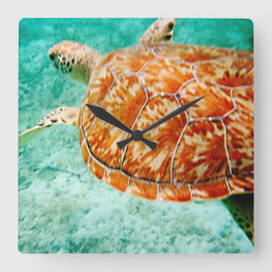 Meeresschildkröte Quadratische Wanduhr