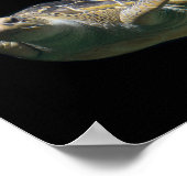 Meeresschildkröte, Rett der Tierwelt für eine bess Poster (Ecke)