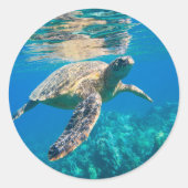 Meeresschildkröte Runder Aufkleber (Vorderseite)