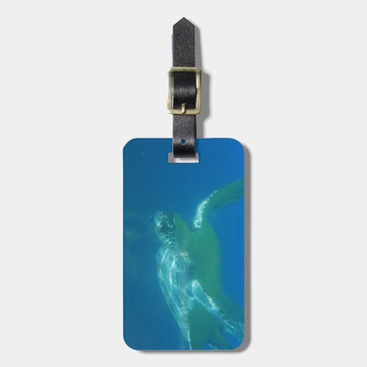 Meeresschildkröte-Schwimmen-Gepäckanhänger Gepäckanhänger (Vorderseite vertikal)