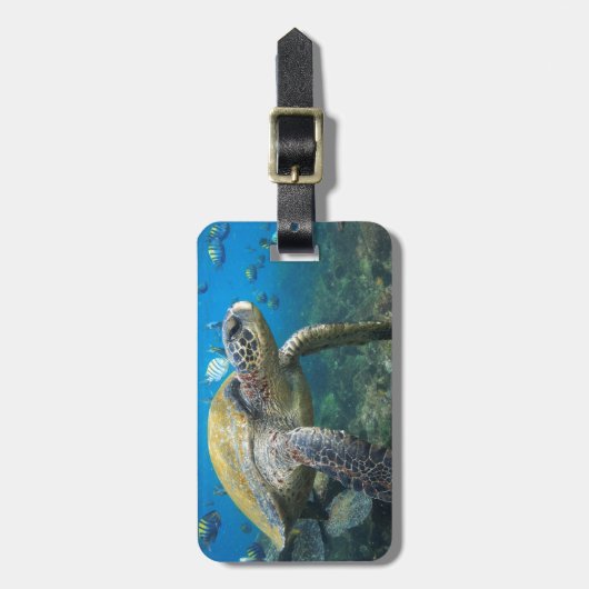 Meeresschildkröte schwimmen im Paradies Galapagos Gepäckanhänger (Vorderseite vertikal)