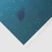 Meeresschildkröte Seidenpapier (Ausschnitt)