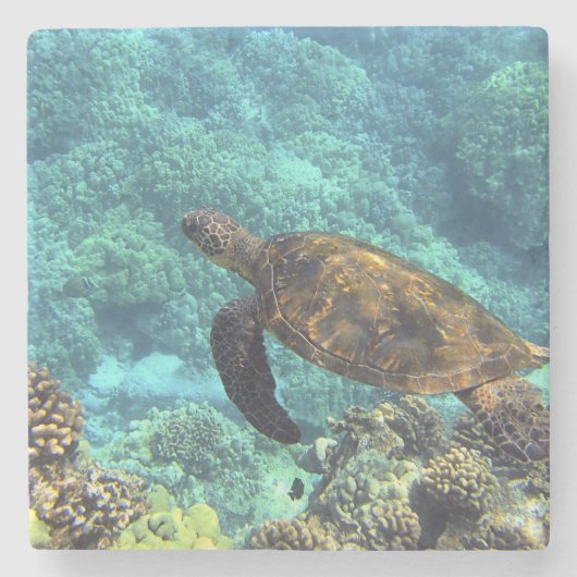 Meeresschildkröte Steinuntersetzer (Vorderseite)