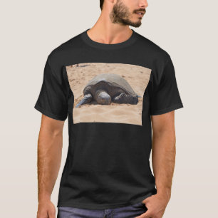 Meeresschildkröte T-Shirt