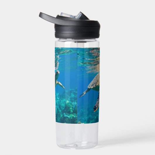 Meeresschildkröte Trinkflasche (Rechts)