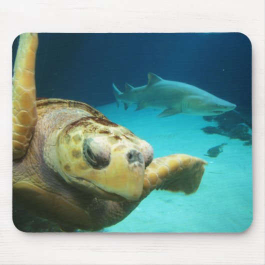 Meeresschildkröte und Haifisch Mousepad (Vorne)