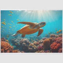 Meeresschildkröte und viele kleine Fische unter Wa