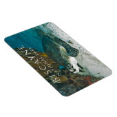 Meeresschildkröte unter Wasser Biscayne NP Magnet (Rechte Seite)