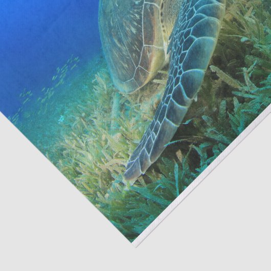 Meeresschildkröte unter Wasser, Blauer Ozean Seidenpapier (Ausschnitt)