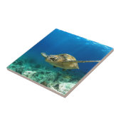 Meeresschildkröte unter Wasser Fliese (Seite)