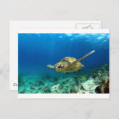 Meeresschildkröte unter Wasser Postkarte (Vorne/Hinten)